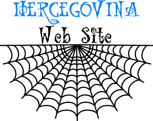 Hercegovci na Internetu